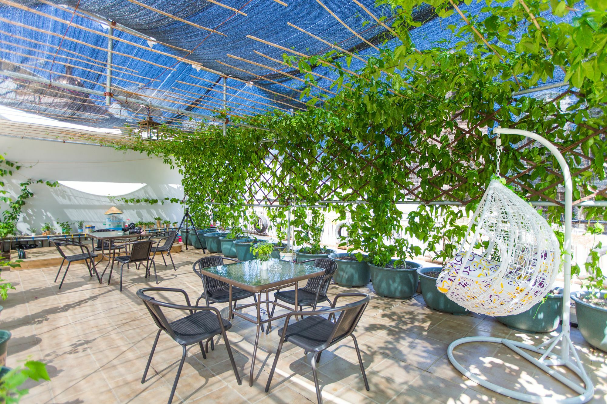 Sanya Passion fruit Inn Bagian luar foto